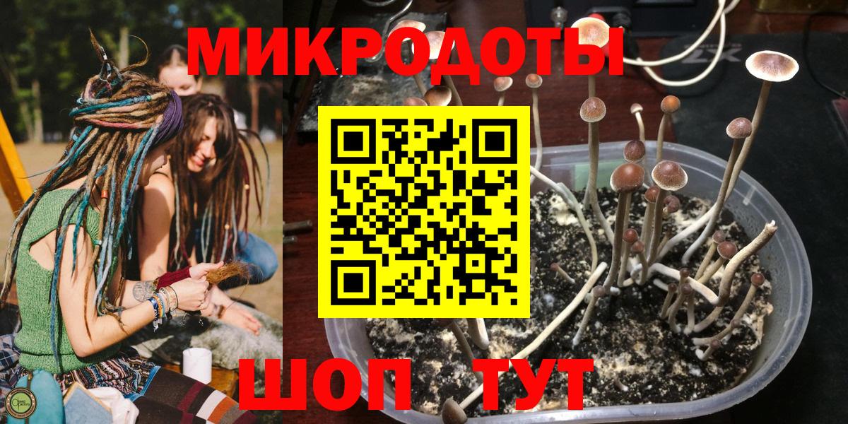 Галлюциногенные грибы Psilocybe Лянтор