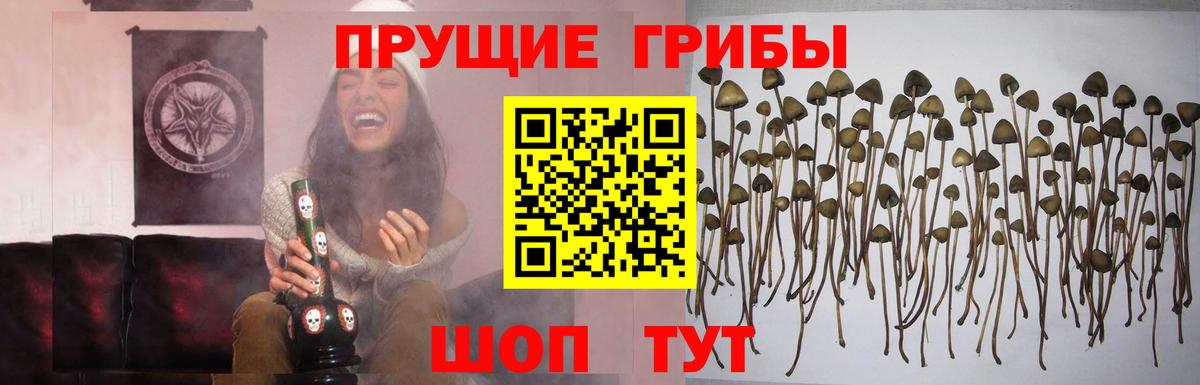 Псилоцибиновые грибы прущие грибы  Вход с VPN  купить   Лянтор 